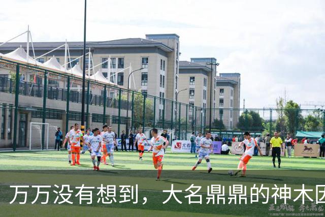 万万没有想到，大名鼎鼎的神木因为一根灯杆火了......