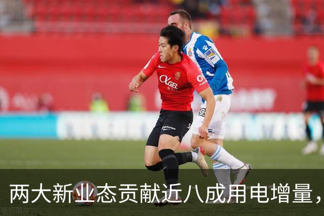 两大新业态贡献近八成用电增量，电力消费增长换了“引擎”