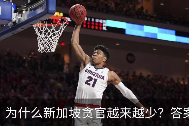为什么新加坡贪官越来越少？答案竟藏在一条简单却极具杀伤力的法律，不查饭局、不追红包，只核对你的收入和资产