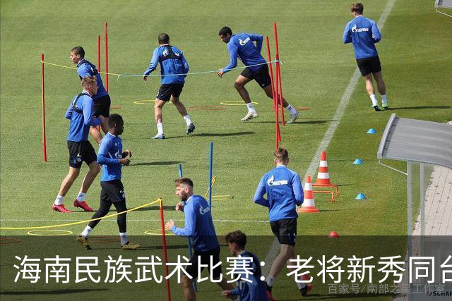 海南民族武术比赛：老将新秀同台竞技，传统内蕴薪火相传