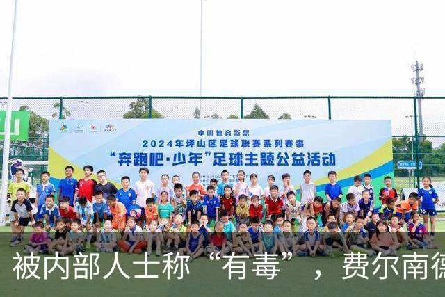 被内部人士称“有毒”，费尔南德斯公开质疑卡里克战术