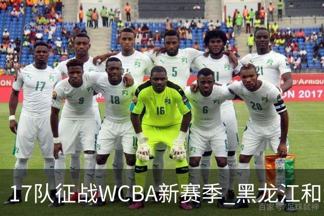17队征战WCBA新赛季 黑龙江和大体协女篮缺席