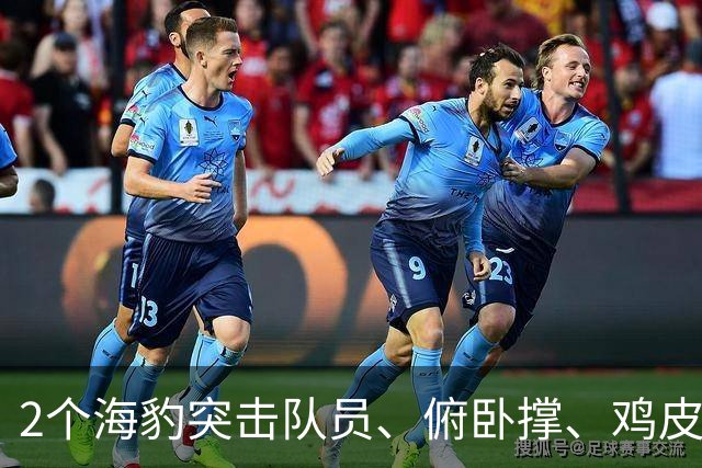 2个海豹突击队员、俯卧撑、鸡皮疙瘩：字母哥首谈热火文化